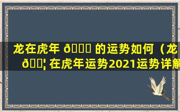 龙在虎年 💐 的运势如何（龙 🐦 在虎年运势2021运势详解）